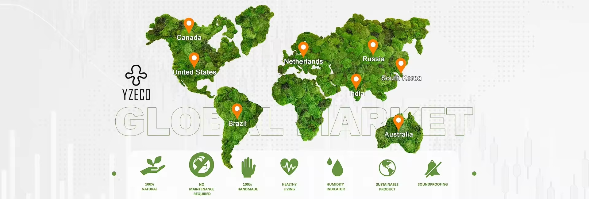 calidad Musgo natural conservado fábrica