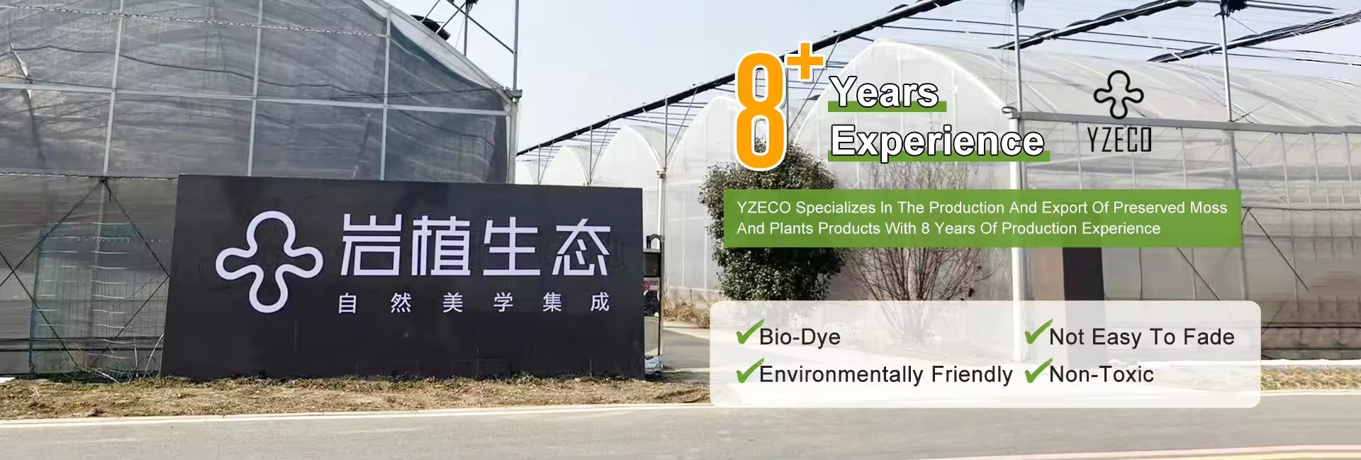 calidad Musgo natural conservado fábrica